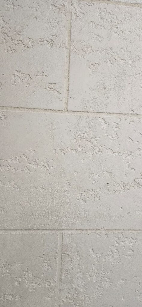 WhatsApp Image 2025-10-16 at 08.21.07_4eacba09